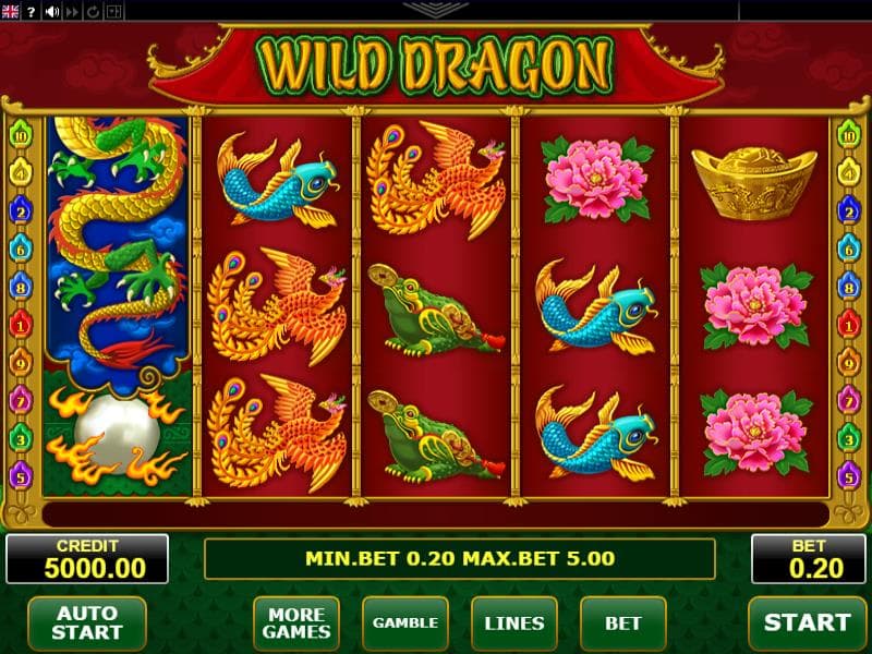 Wild dragon slot game